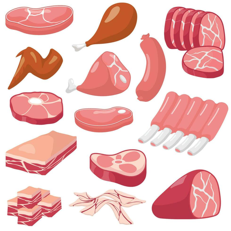 impostato di il elemento vario carne cibo collezione vettore