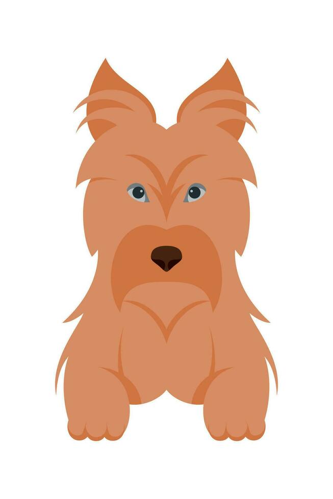 cartone animato cucciolo cani razze animali domestici carino personaggi. piatto design di carino cani e cuccioli vettore illustrazione.