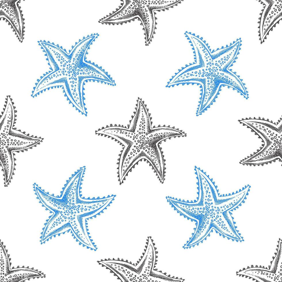 mano disegnato vettore illustrazioni - senza soluzione di continuità modello di stella marina. marino sfondo. Perfetto per inviti, saluto carte, manifesti, stampe, striscioni, volantini eccetera