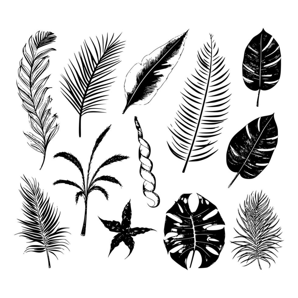 illustrazione impostato di tropicale impianti e foglie, mano disegnato stile, schema schizzo. vettore