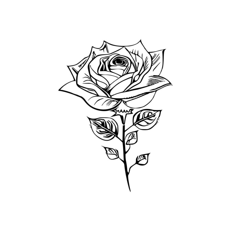 bellissimo mano disegnato fiore rosa schizzo vettore