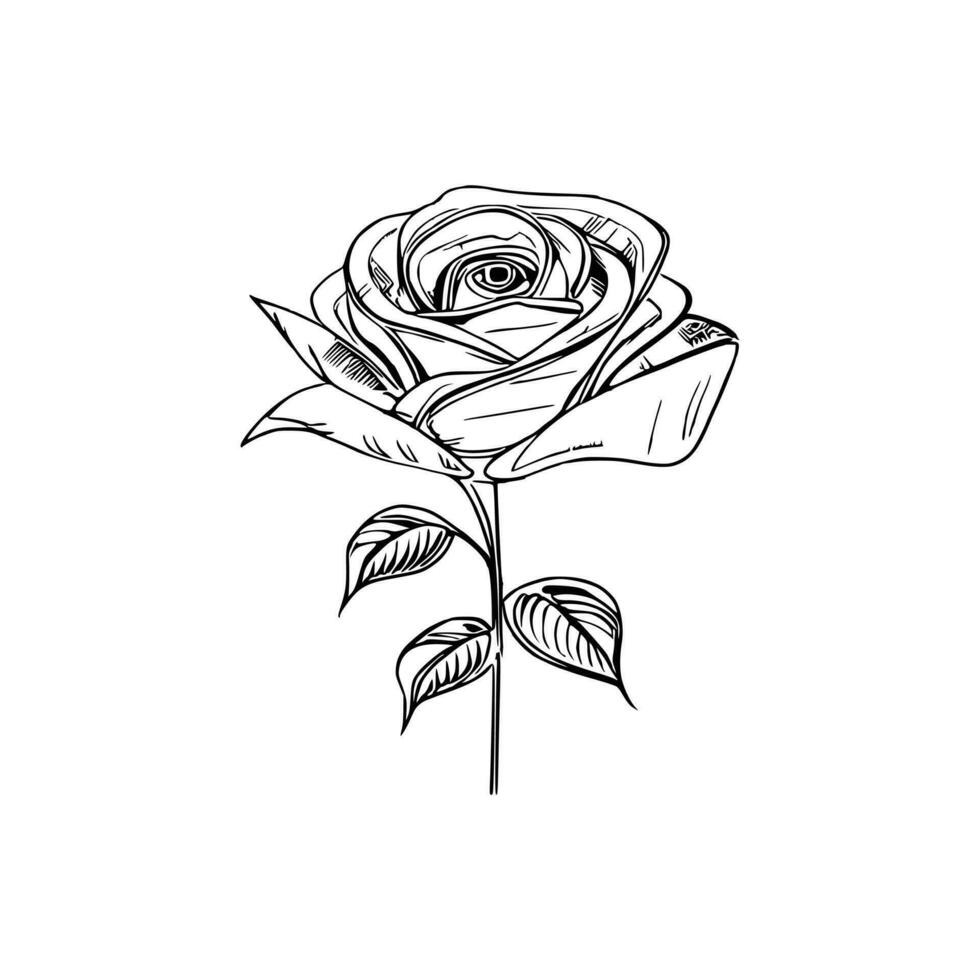 bellissimo mano disegnato fiore rosa schizzo vettore