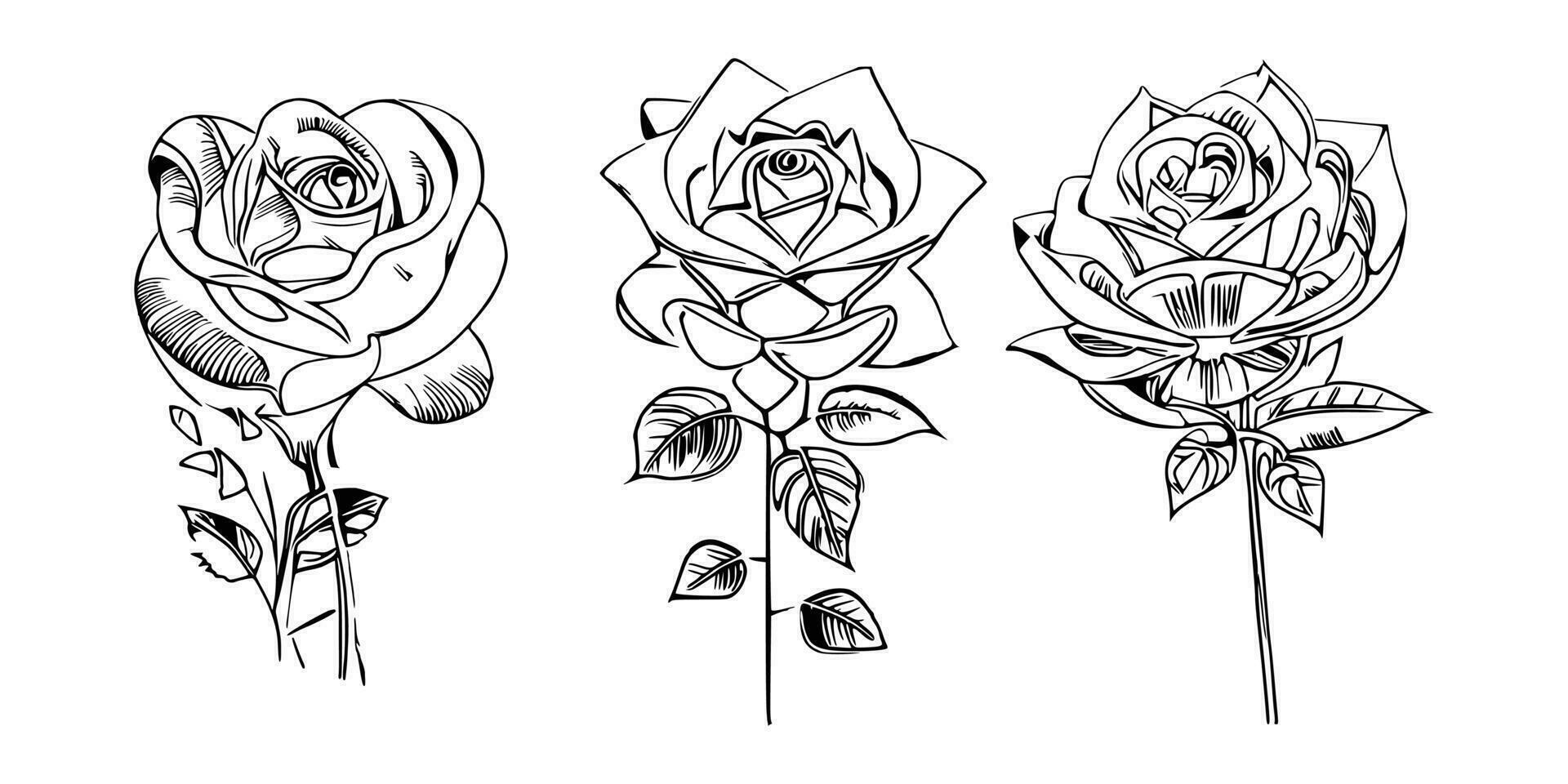 bellissimo mano disegnato fiore Rose vettore
