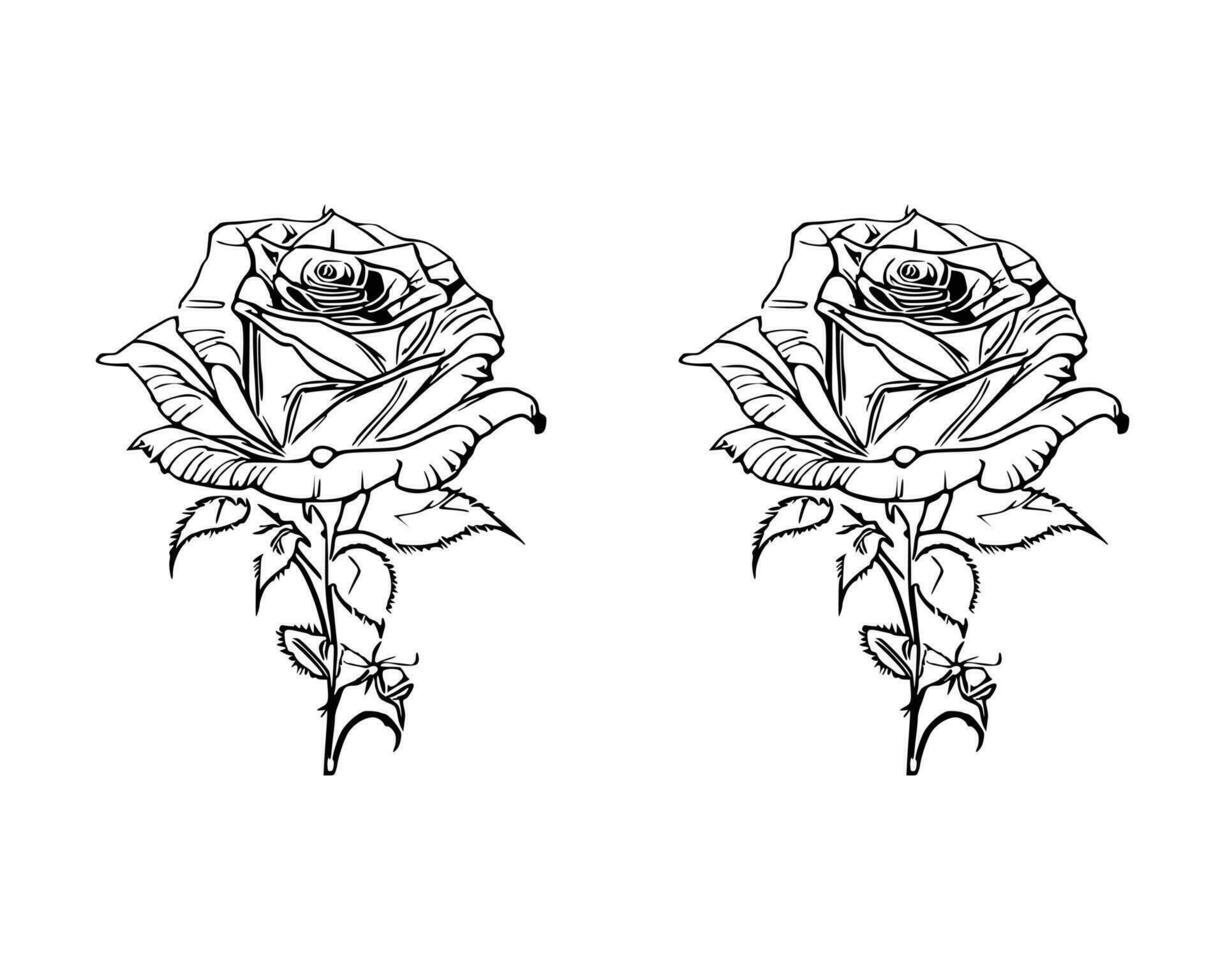 bellissimo mano disegnato fiore Rose vettore