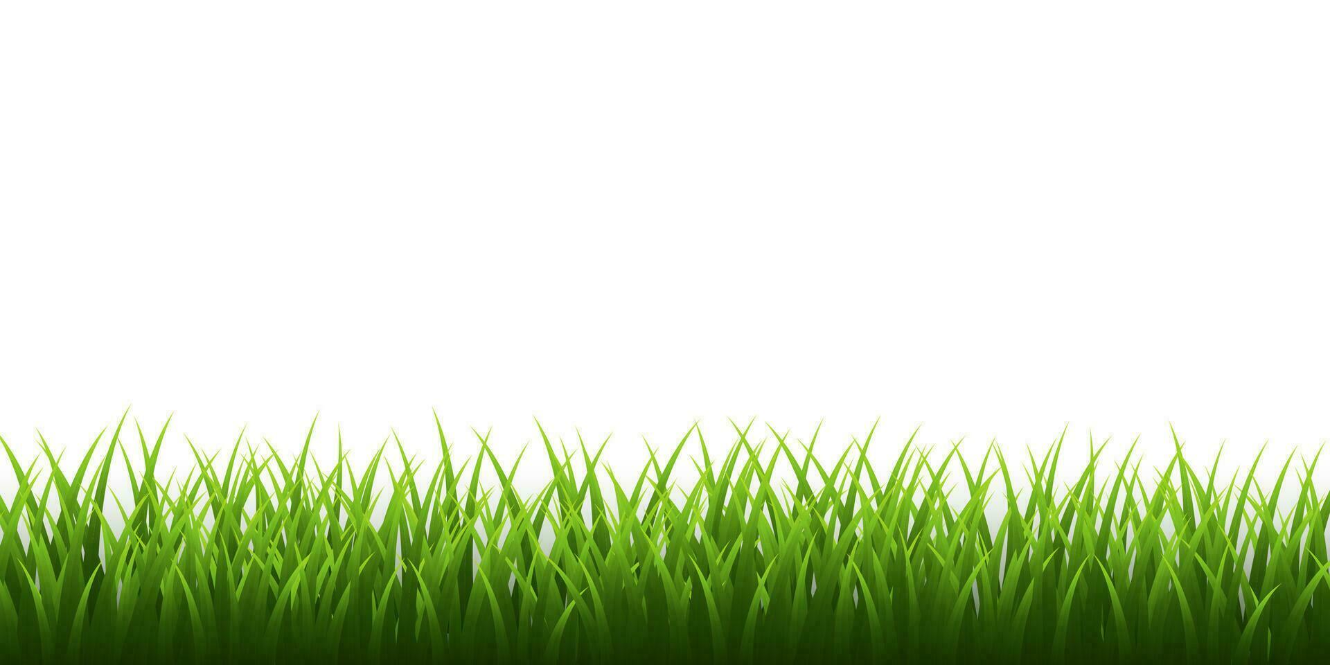 verde erba confine impostato su bianca sfondo. vettore illustrazione