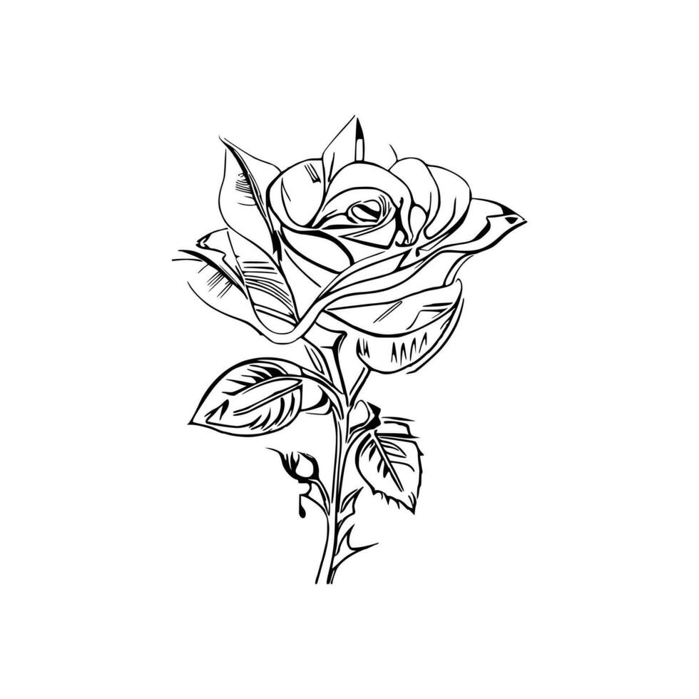 bellissimo mano disegnato fiore rosa schizzo vettore