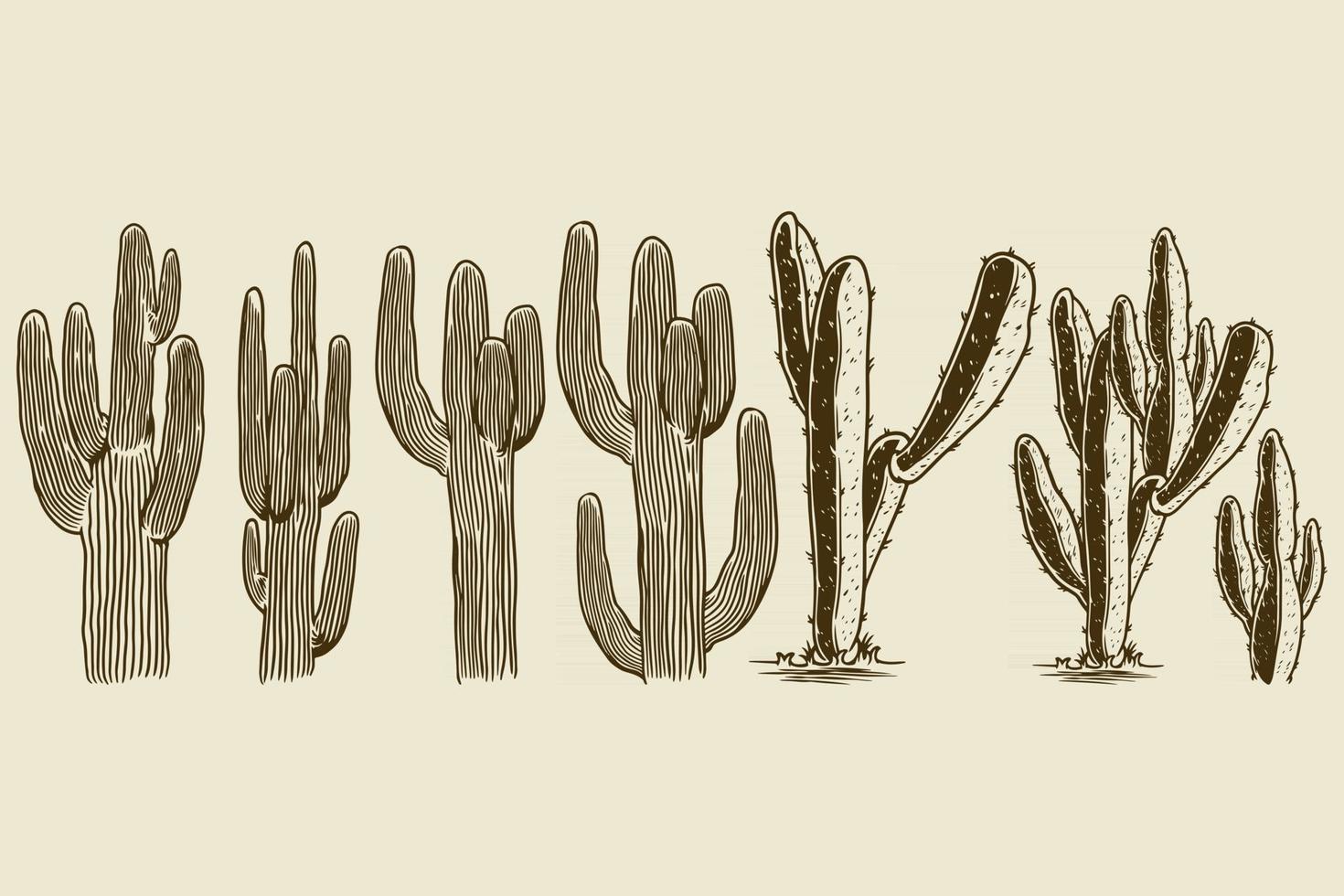 insieme disegnato a mano di cactus e succulente vettore