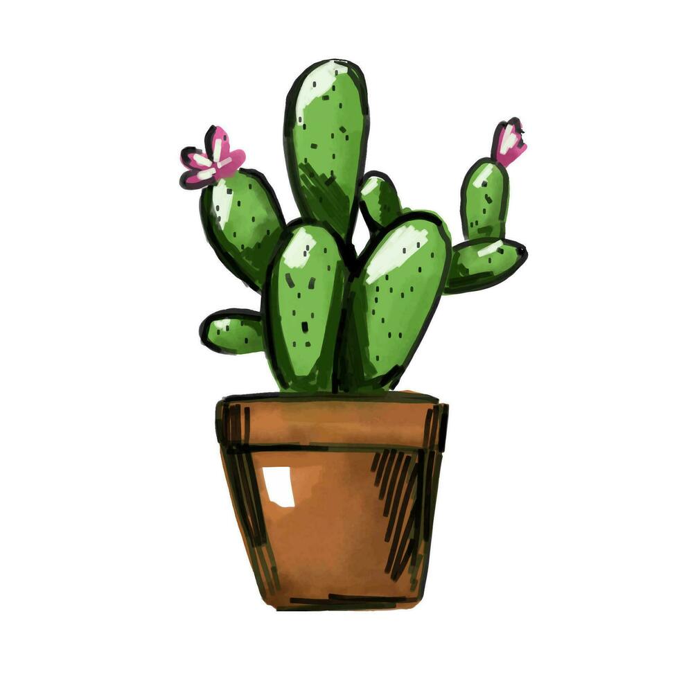 cactus acquerello, cactus pianta mano disegnato, vettore illustrazione isolato su bianca sfondo
