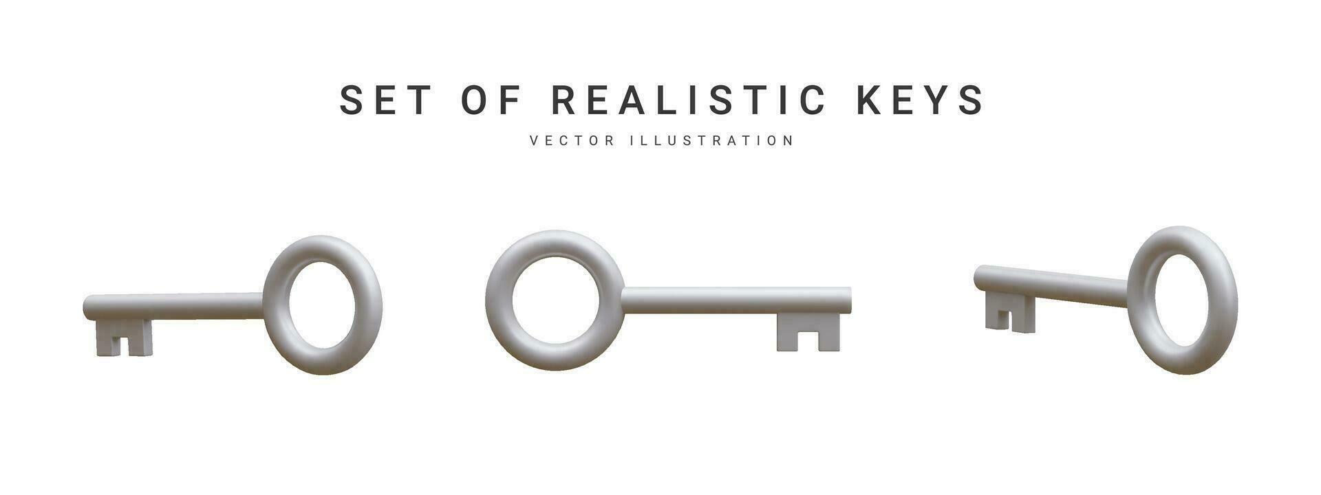 impostato di 3d realistico argento chiavi isolato nel bianca sfondo. vettore illustrazione