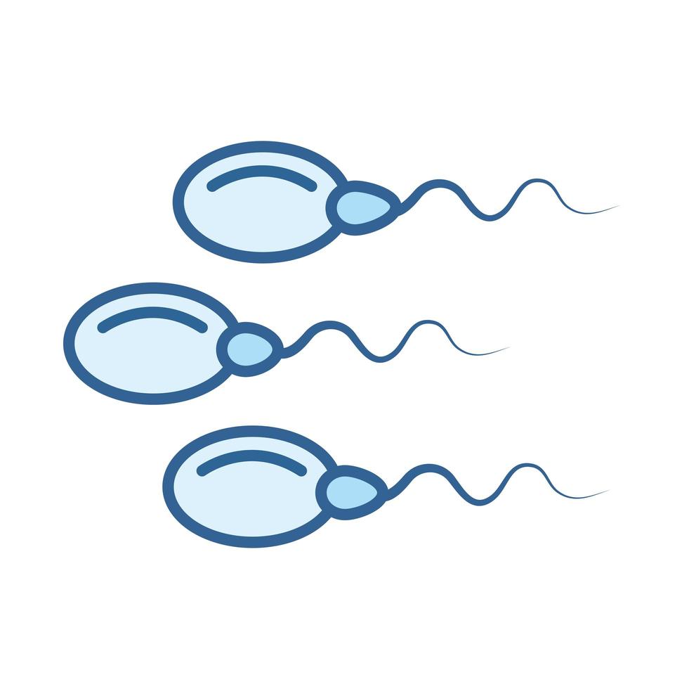 la linea genetica della fertilità dello sperma umano della salute sessuale riempie l'icona blu vettore