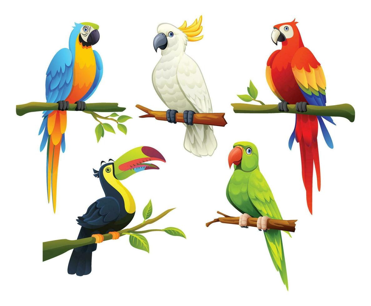 impostato di tropicale uccelli vettore cartone animato illustrazione