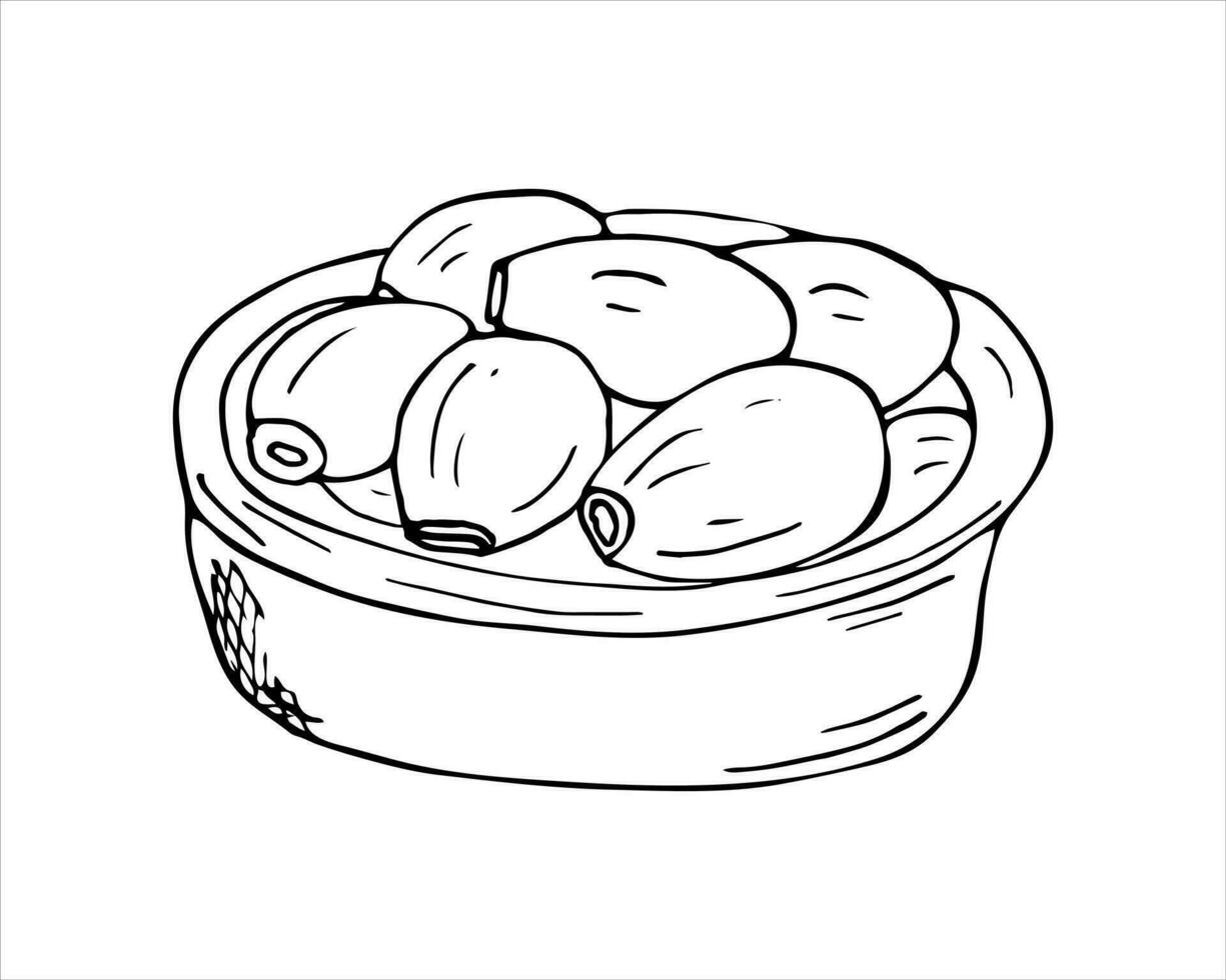 aglio Chiodi di garofano nel il piatto. disegnato a mano cibo e erba ingredienti illustrazione. vettore illustrazione isolato su bianca sfondo.