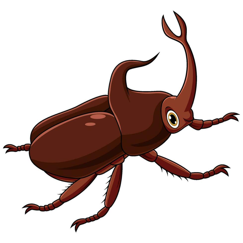 cervo scarafaggio cartone animato su bianca sfondo vettore