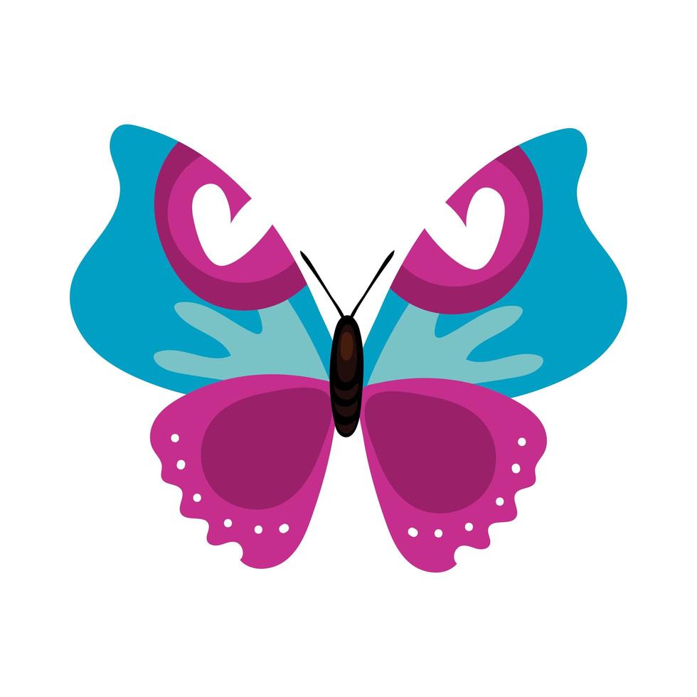 bella farfalla viola insetto stile piatto icona vettore