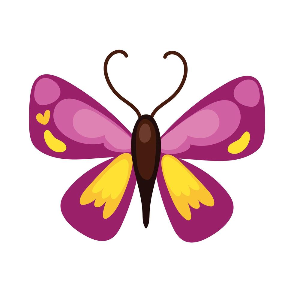 bella farfalla viola insetto stile piatto icona vettore
