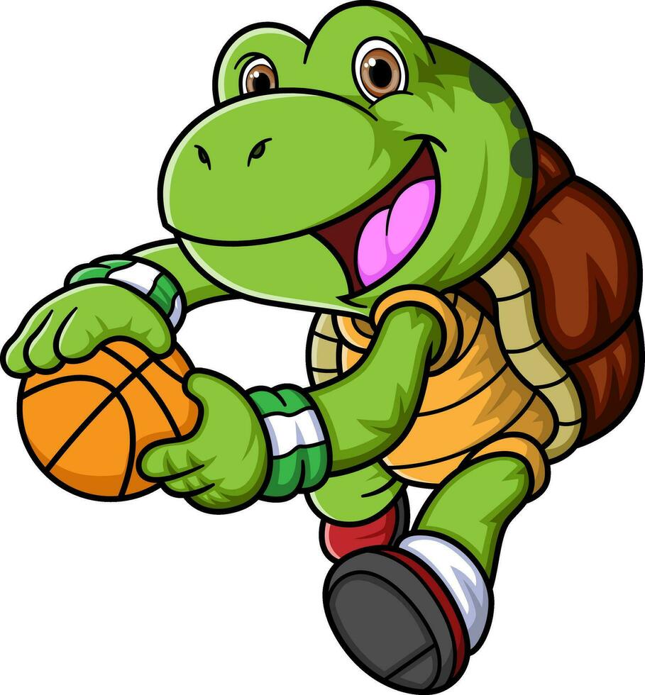 cartone animato poco tartaruga giocando pallacanestro vettore