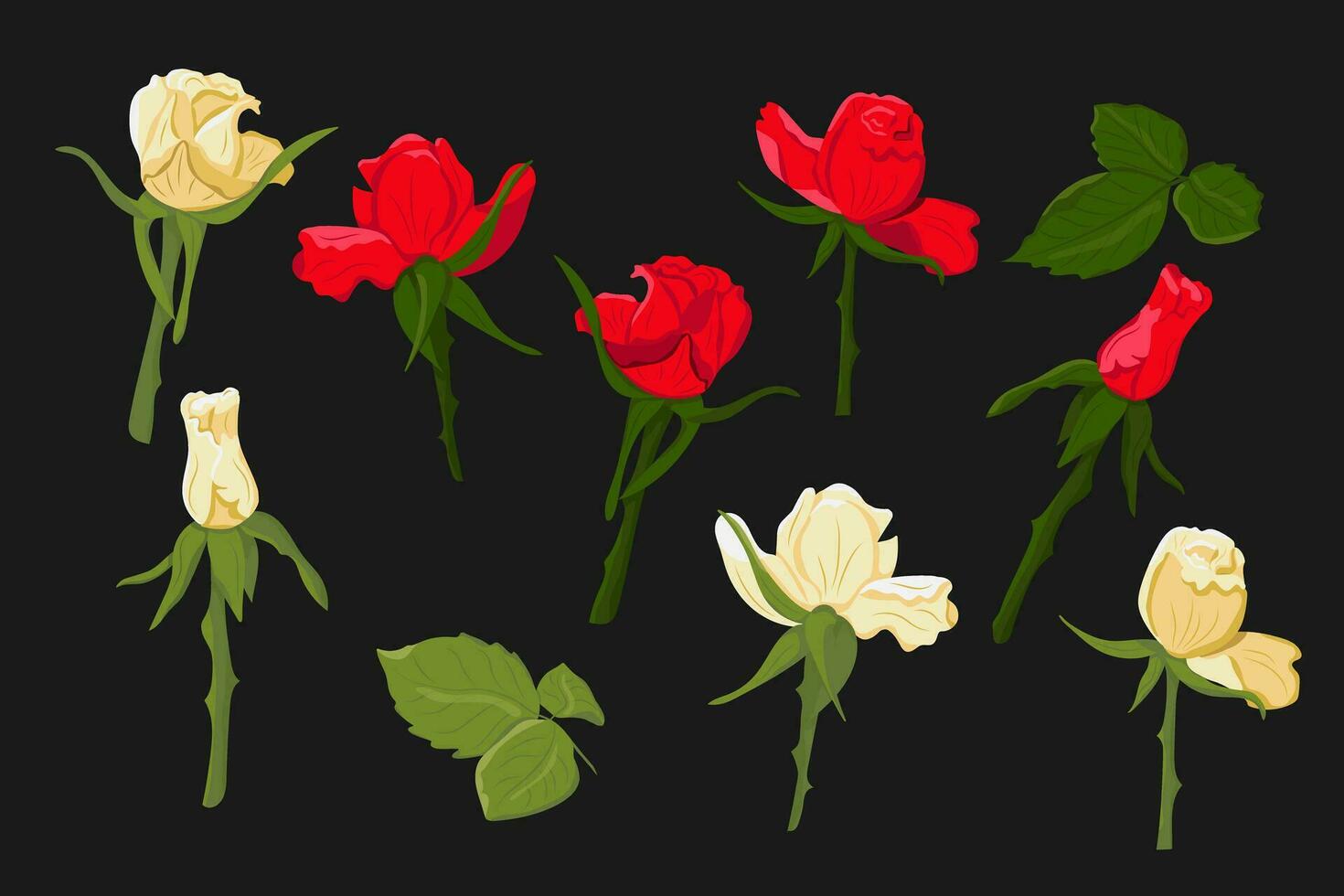 impostato di mano disegnato fioritura bianca e rosso Rose su nero sfondo. vettore piatto isolato Rose con le foglie. buio tema. Perfetto per adesivi, tatuaggio, modello, sfondo, involucro carta