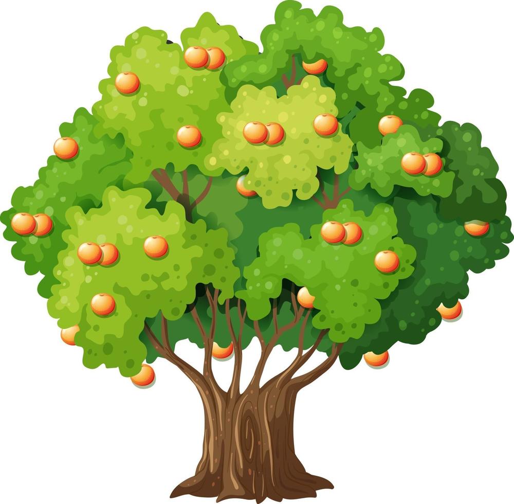 albero da frutto arancione nello stile del fumetto isolato su priorità bassa bianca vettore