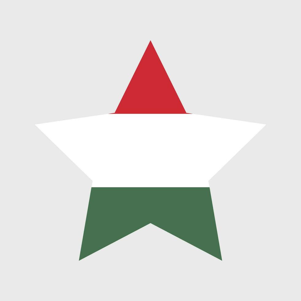 Ungheria bandiera vettore icone impostato di illustrazioni