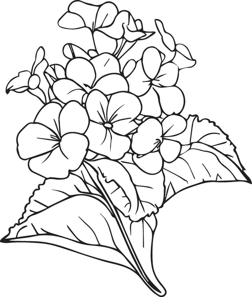 semplice fiore colorazione pagine, colorazione pagine per adulti, mano disegno primula fiore schizzo arte di, fiorire viola fiore linea arte vettore illustrazione, floreale giardino per bellissimo carino facile fiore arte