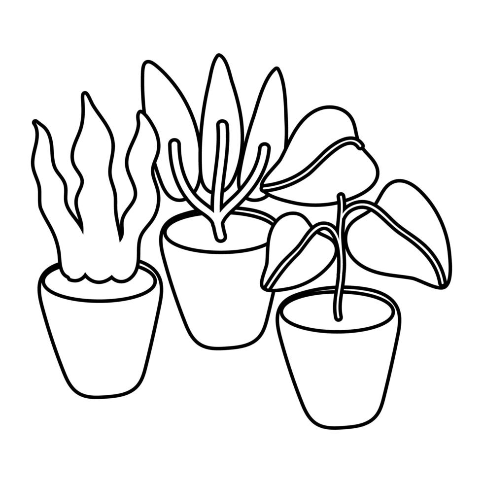 piante d'appartamento in vasi di ceramica icone isolate vettore