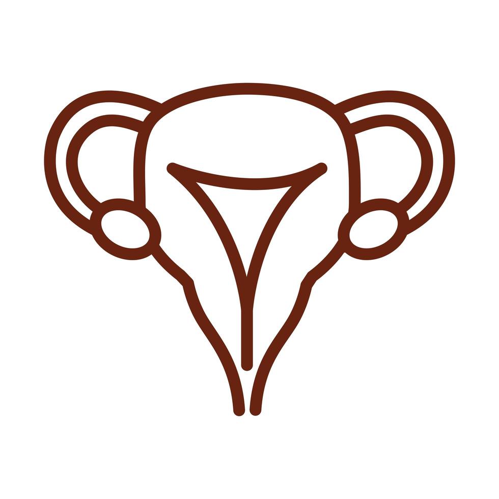 corpo umano sistema riproduttivo femminile anatomia organo salute linea icona style vettore