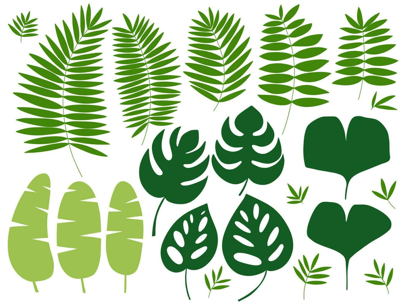 diverso tipi di tropicale esotico impianti le foglie impostare. vettore impostato di tropicale e giungla le foglie