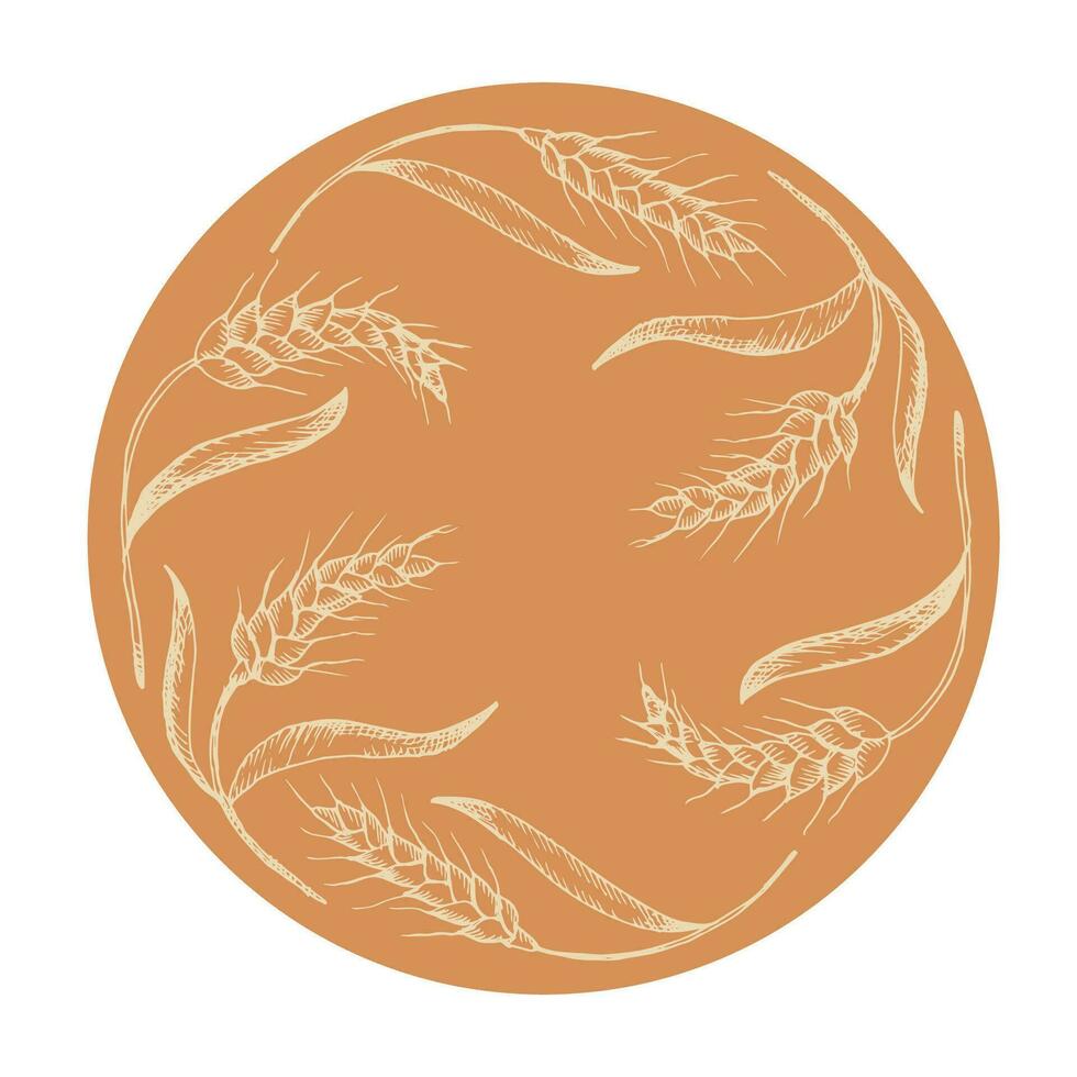 Grano etichetta modello vettore illustrazione.grano orecchie telaio, secco totale grani. mano disegnato cereale raccolto, agricoltura, biologico agricoltura, salutare cibo simbolo. design elemento su isolato sfondo