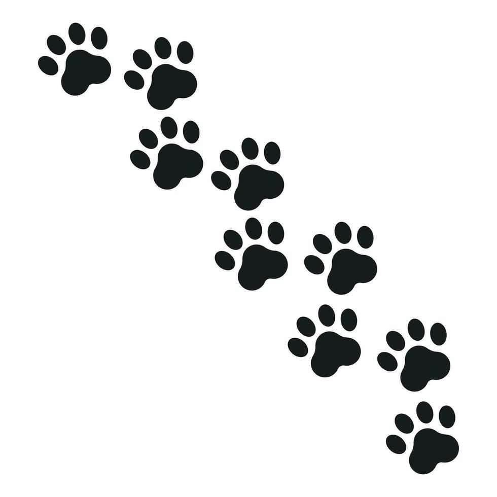 zampa Stampa vettore icona. cane o gatto orma di Zampa illustrazione. animale silhouette.