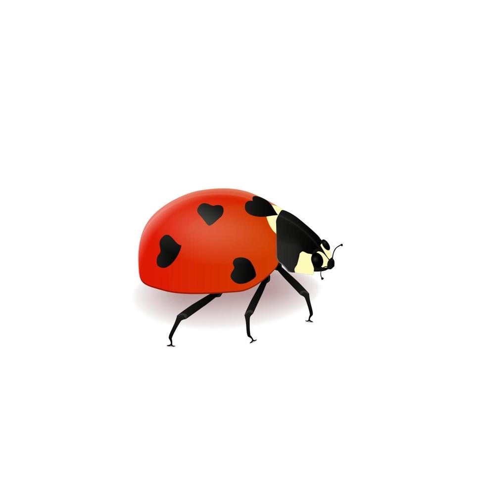 coccinella con cuori sul retro in stile cartone animato 3d isolato su sfondo bianco vettore