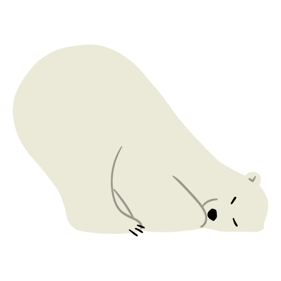 polare orso singolo vettore