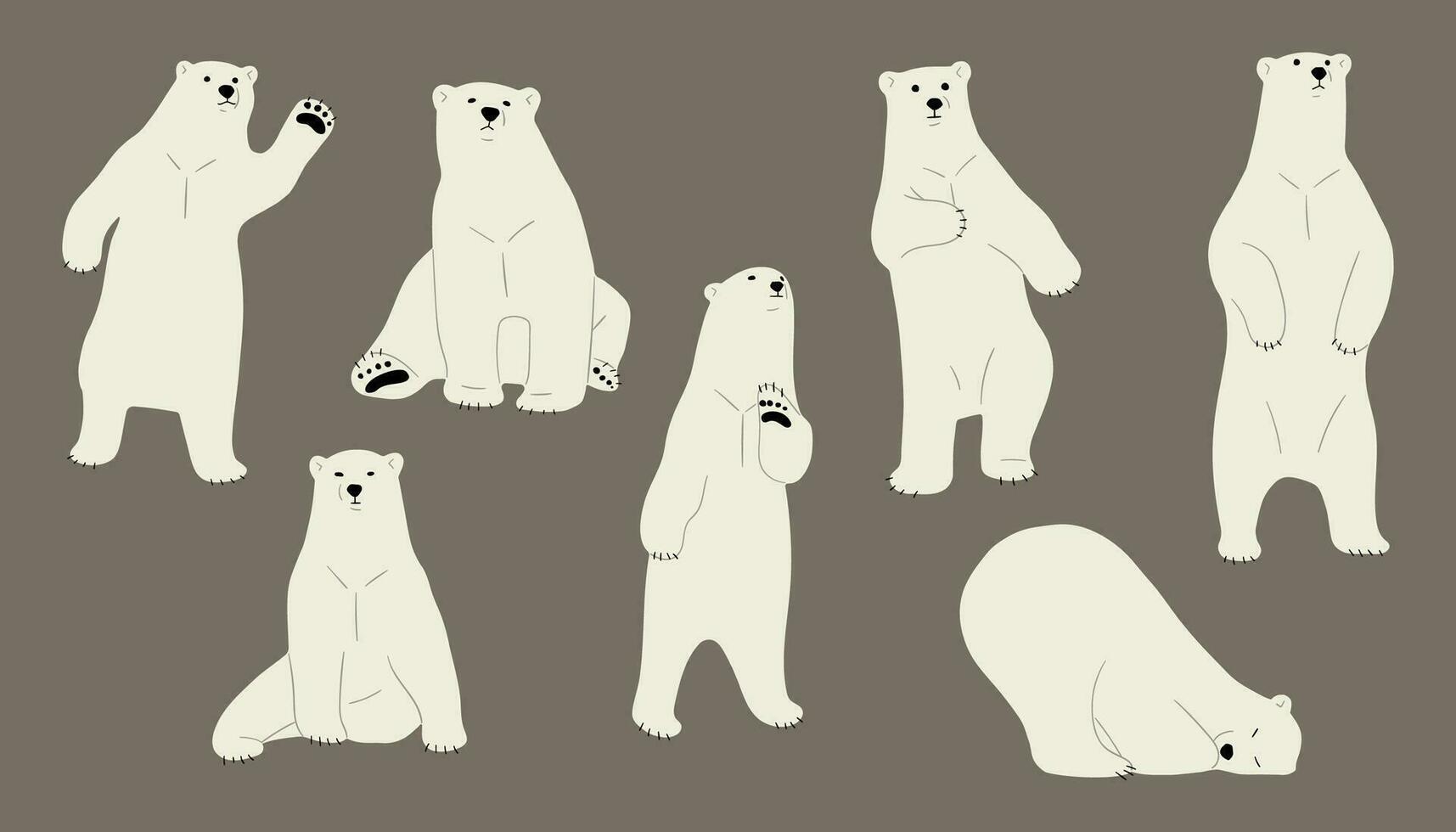 polare orso gruppo vettore