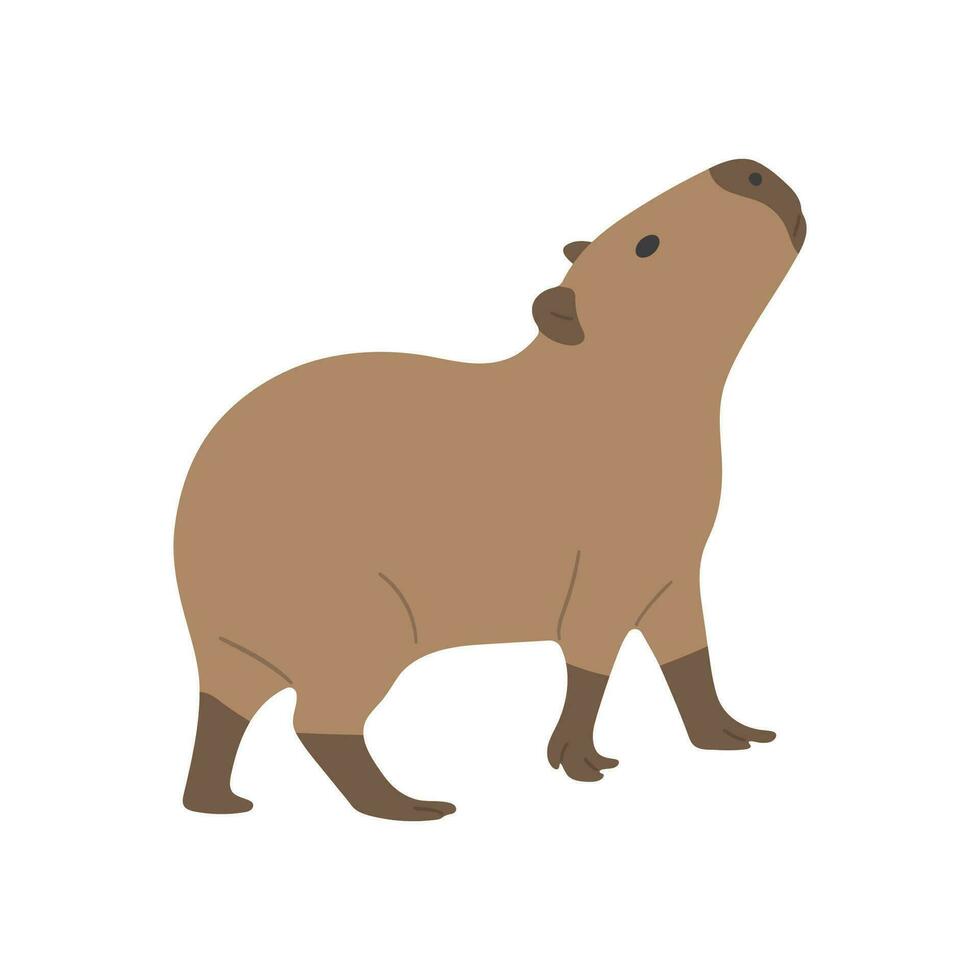 capibara singolo carino vettore