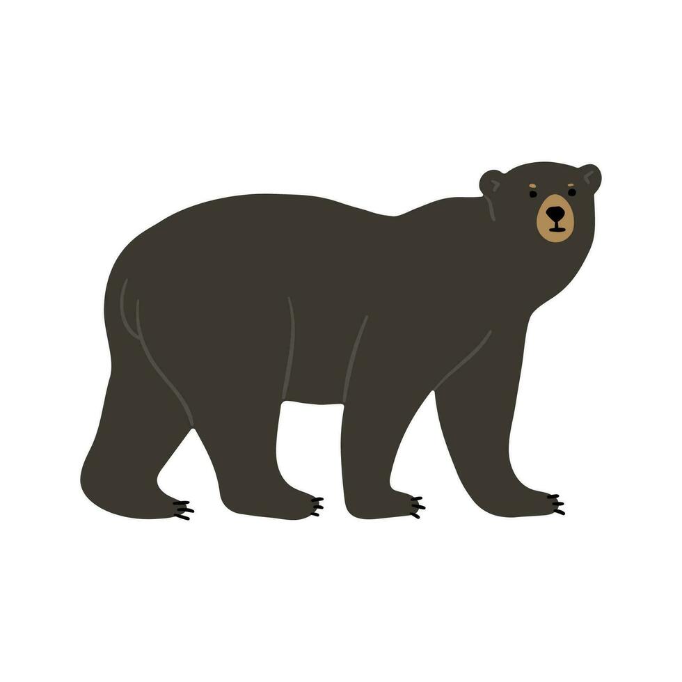 carino americano nero orso singolo su un' bianca sfondo vettore illustrazione