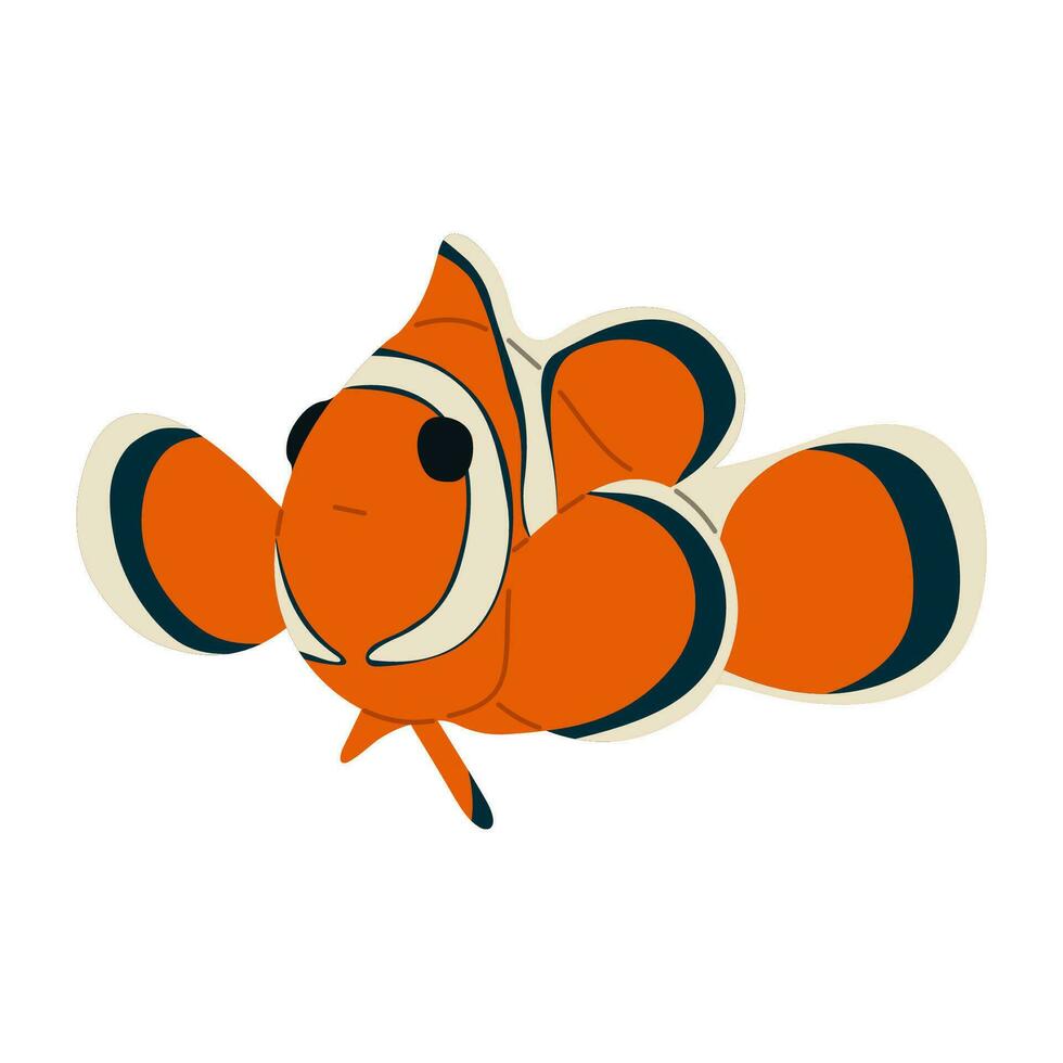 anemonefish singolo carino vettore