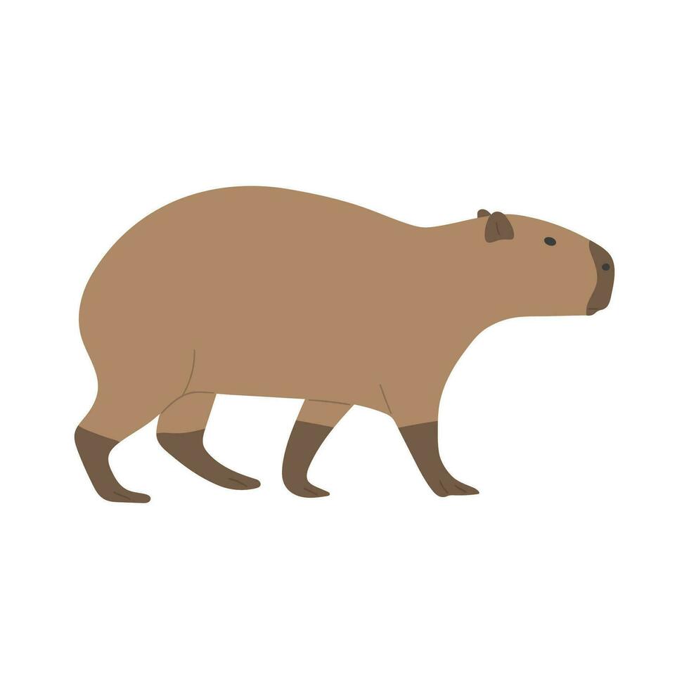 capibara singolo carino vettore