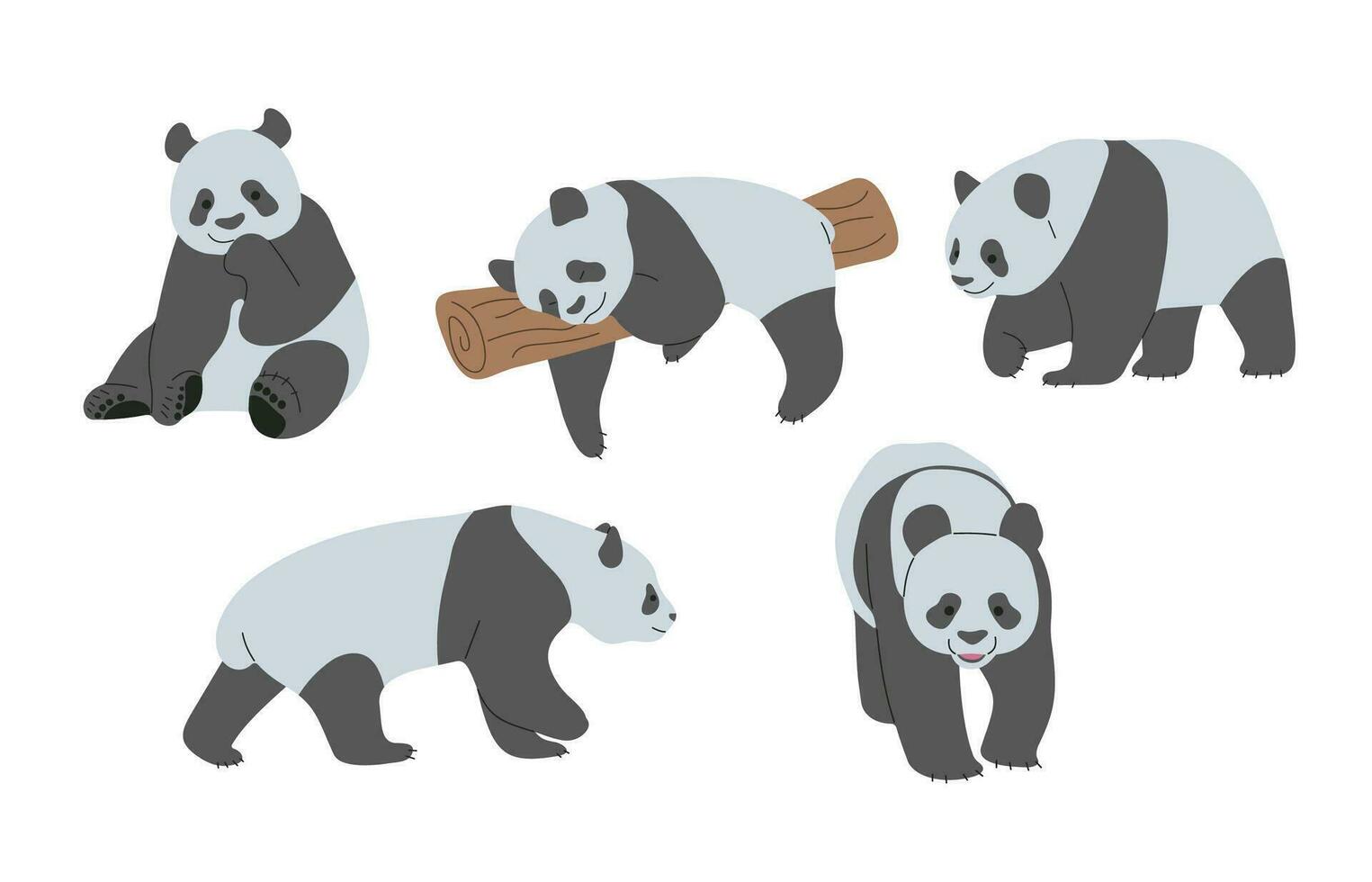 panda gruppo carino vettore