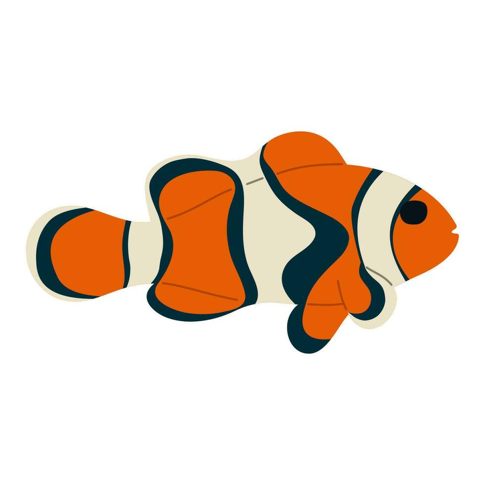 anemonefish singolo carino vettore