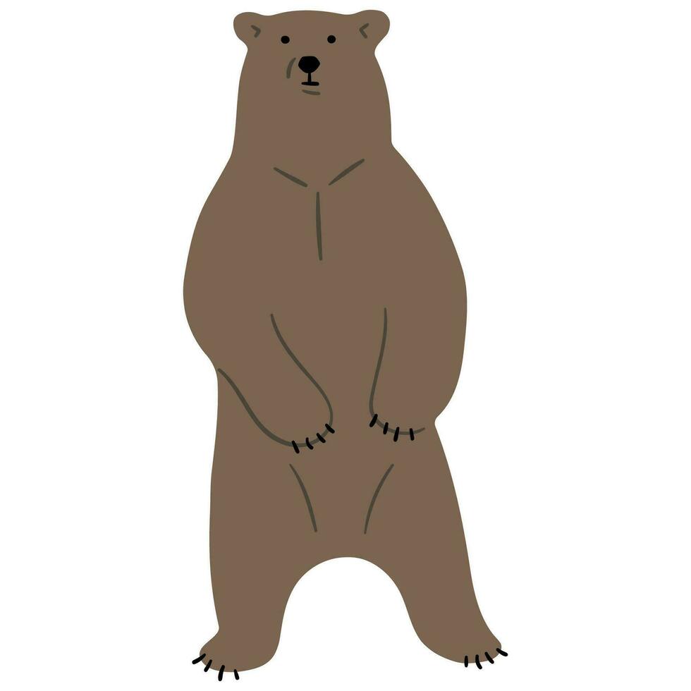 grizzly orso singolo vettore