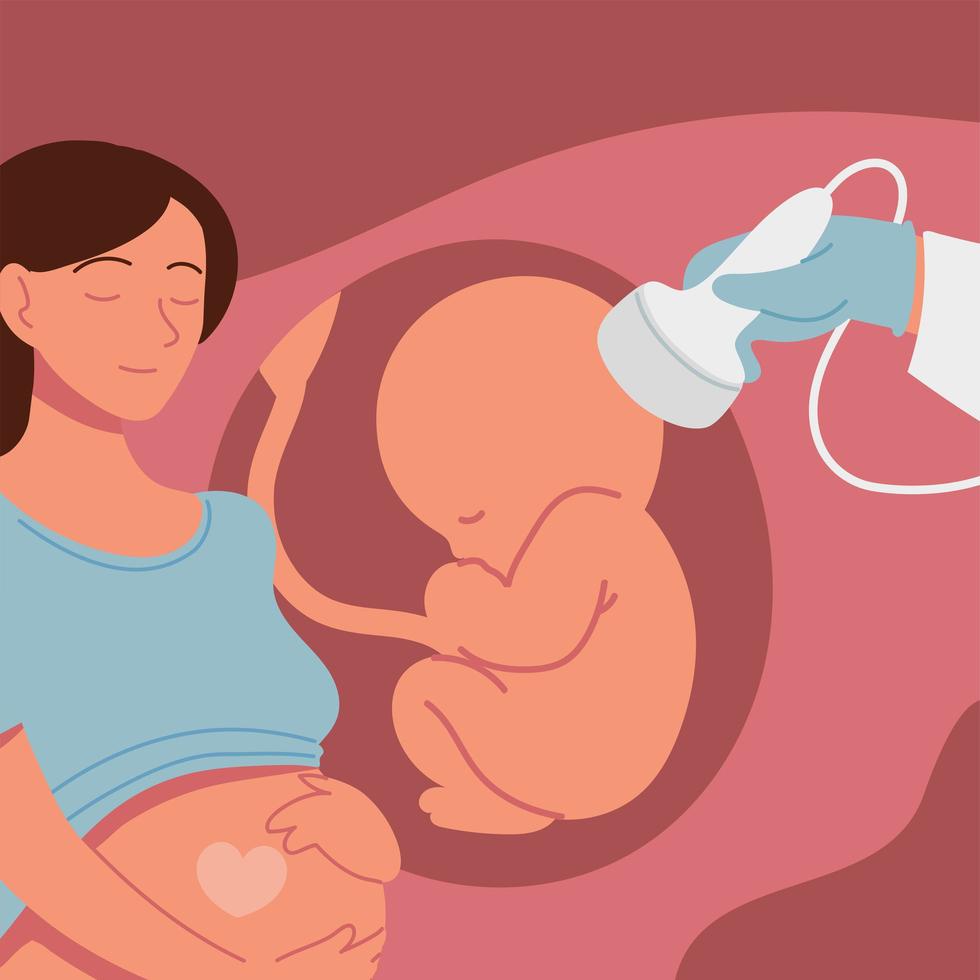 scansiona il bambino nell'utero vettore