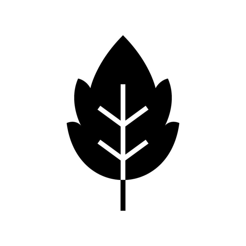 foglia icona vettore simbolo design illustrazione