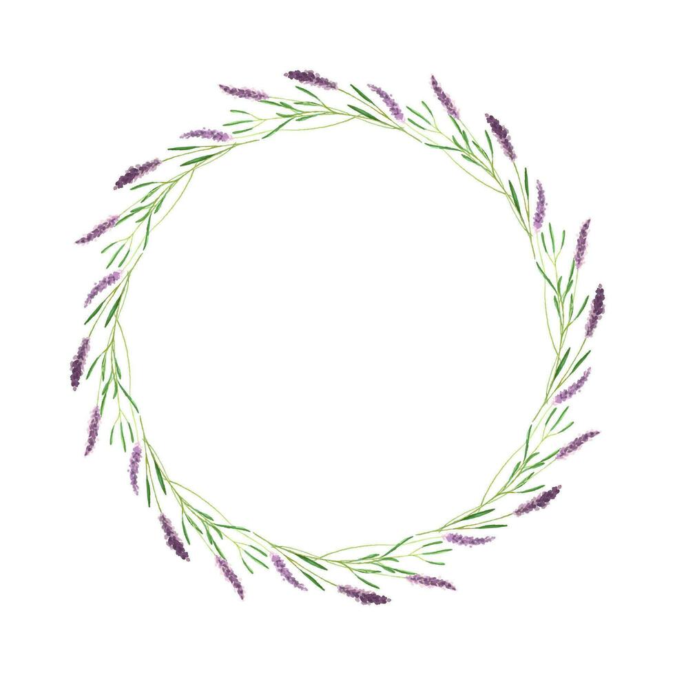 ghirlanda il giro di lavanda fiori, disegnato a mano nel acquerello, lavanda rametti, isolato, bianca sfondo. vettore