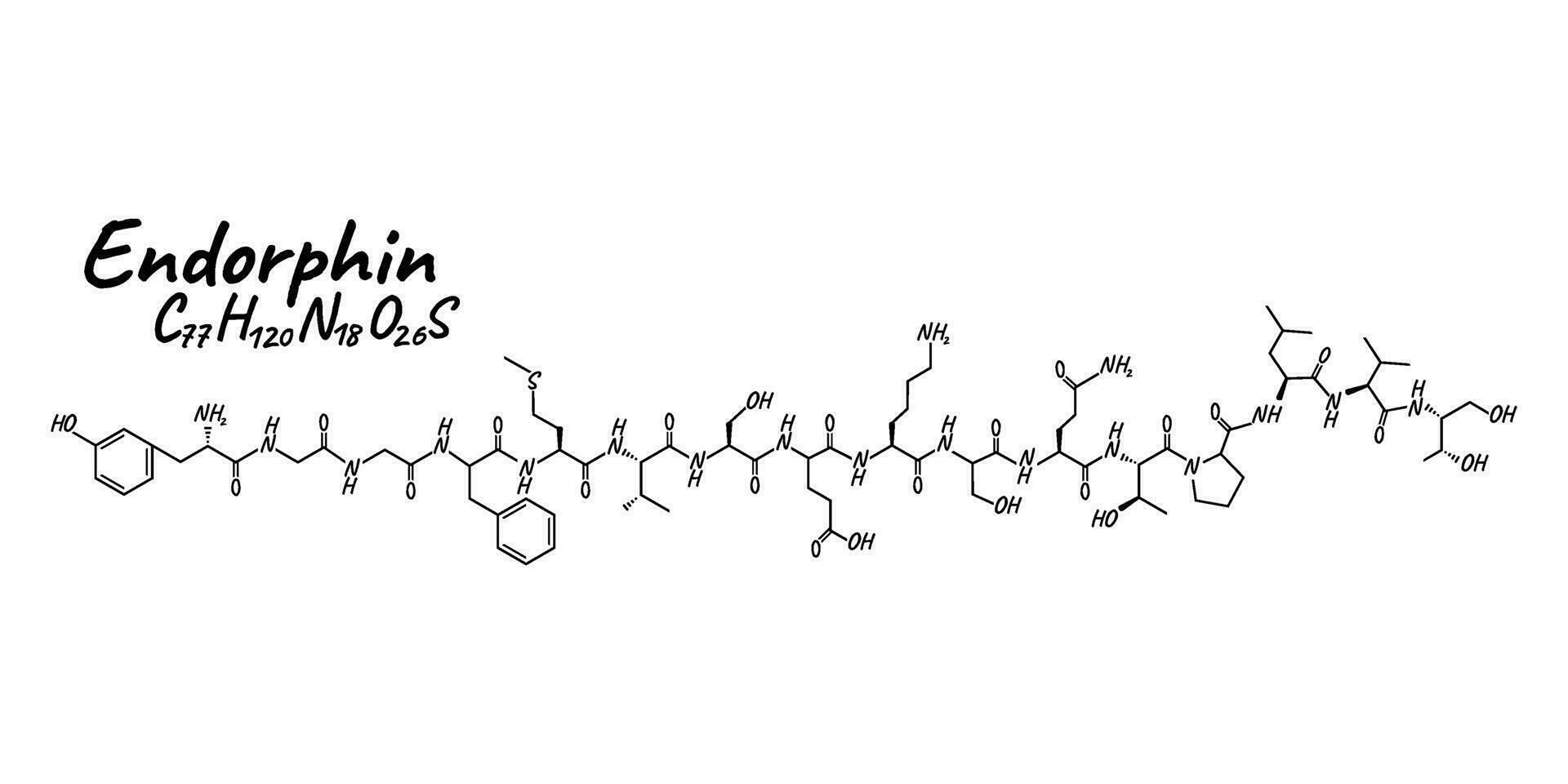 umano ormone endorfine concetto chimico scheletrico formula icona etichetta, testo font vettore illustrazione, isolato su bianca. periodico elemento tavolo.