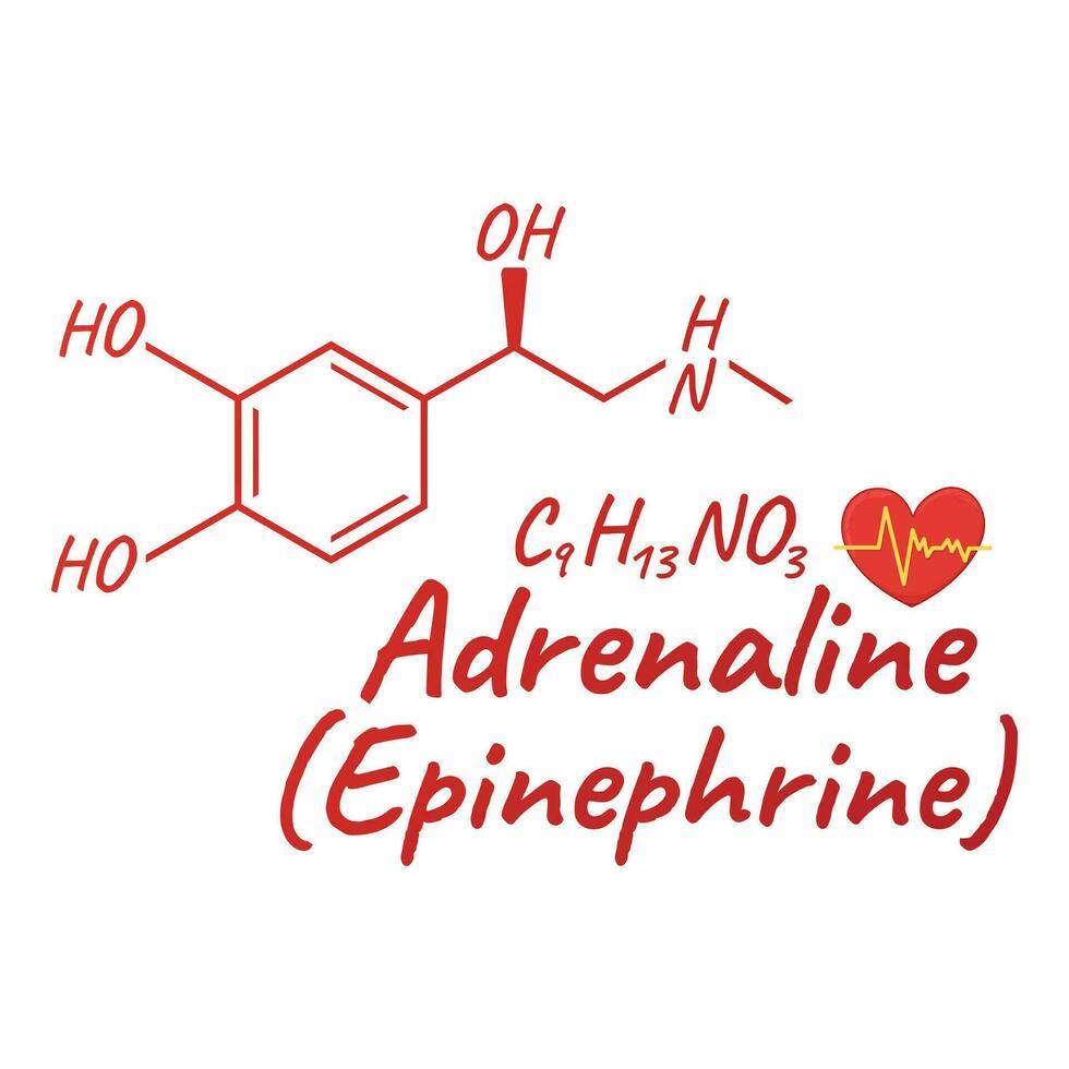 umano ormone adrenalina, epinefrina concetto chimico scheletrico formula icona etichetta, testo font vettore illustrazione, isolato su bianca.