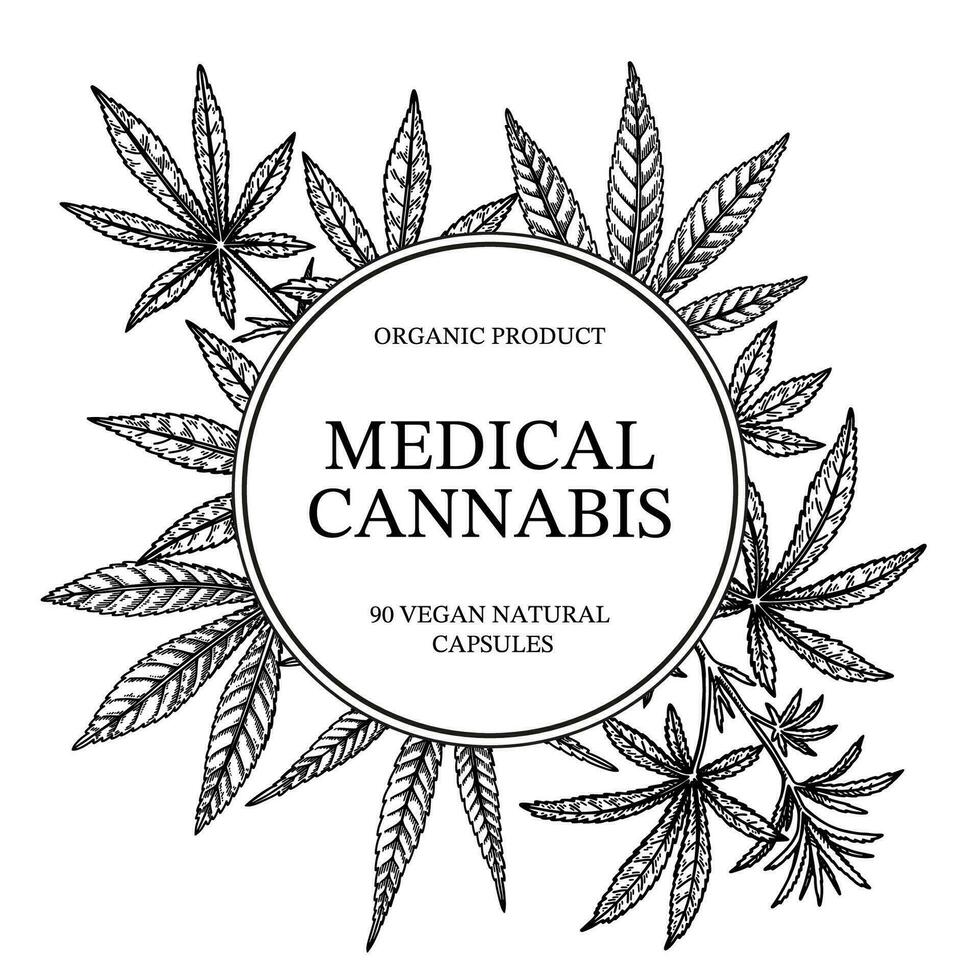 medico canapa telaio. marijuana pianta design per logo modello, confezione, sociale media messaggi. medicinale legalizzazione vettore illustrazione nel schizzo stile