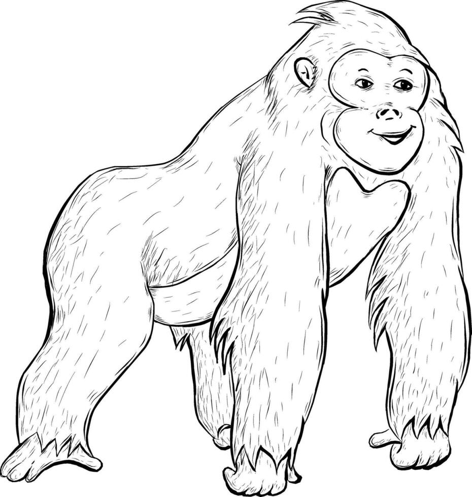 cartone animato di un' carino gorilla schizzo illustrazione vettore