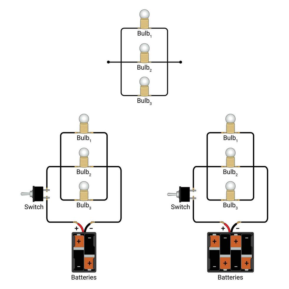 tre bulbi collegato nel parallelo controllato di un' singolo polo interruttore vettore