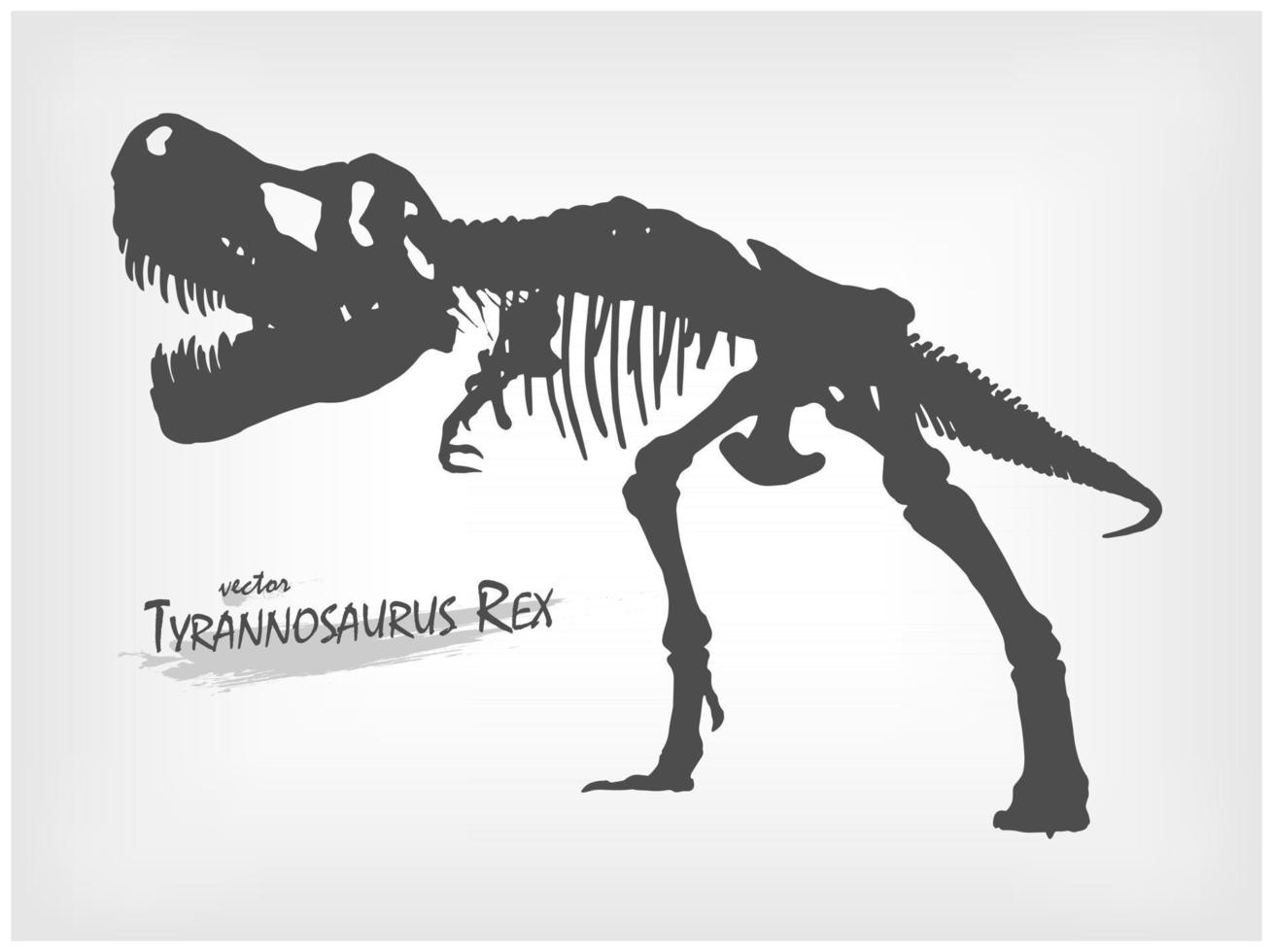 tyrannosaurus rex scheletro silhouette su sfondo grigio sfumato. vettore. vettore