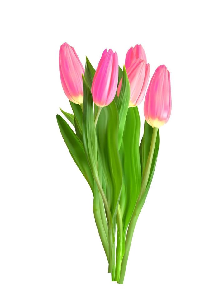 bouquet di fiori di tulipani rosa realistico isolato su sfondo trasparente vettore