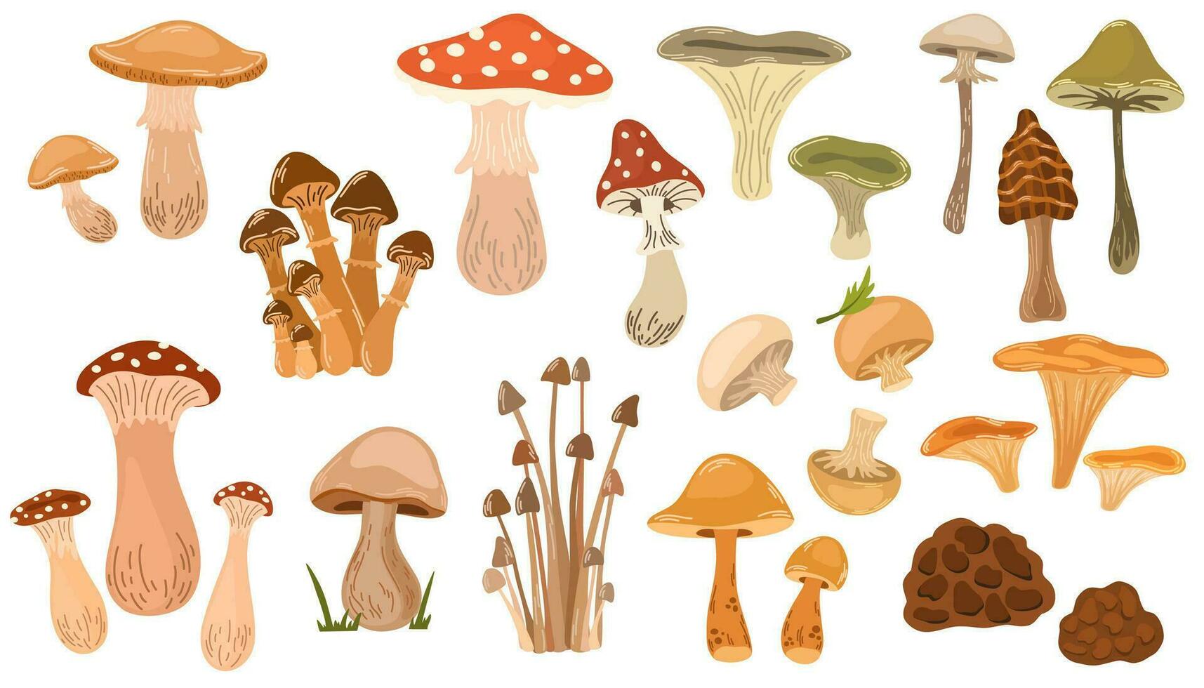 funghi impostare. velenoso e commestibile fungo, finferli, porcino, amanita e tartufo isolato vettore illustrazione impostare. foresta selvaggio funghi tipi. biologico porcini e finferli, velenoso fungo.